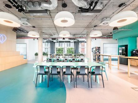 Pronájem - kanceláře, 706 m²