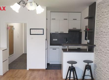 img-20220906-184957.jpg | Pronájem bytu, 1+kk, 27 m²