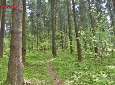 pisarov-3.jpg | Prodej - pozemek, les, 2 762 m²