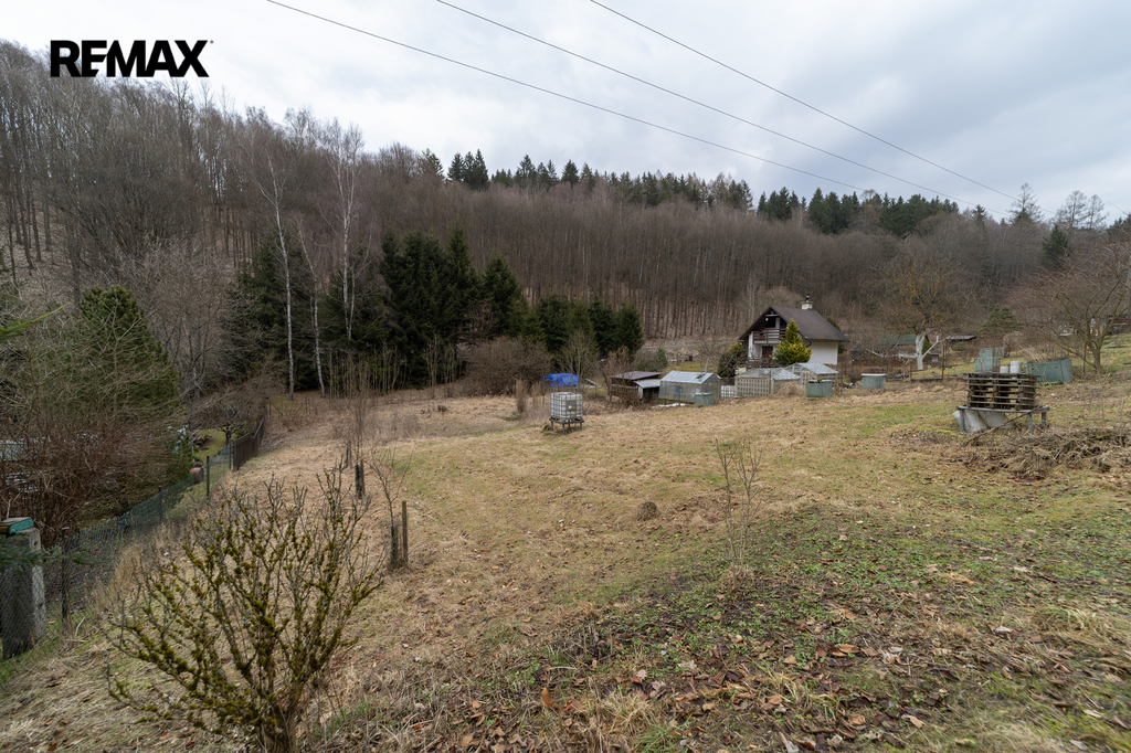 0z9a8167.jpg