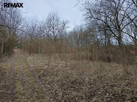 img-20260316-090344.jpg | Prodej - pozemek, ostatní, 3 482 m²