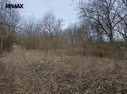 img-20260316-090344.jpg | Prodej - pozemek, ostatní, 3 482 m²