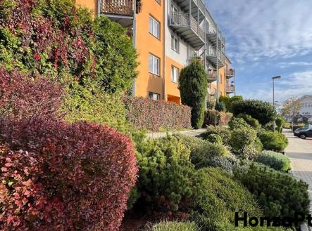 Prodej bytu 2+1,Markupova,Praha-Horní Počernice Honza Ptáček realitní makléř v Praze(10) | Pronájem bytu, 2+1, 62 m²