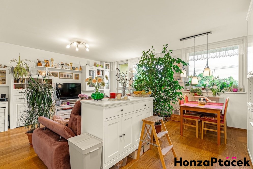 Prodej bytu Třebešovská, Horní počernice, Honza Ptáček - realitní makléř v Praze, realitni