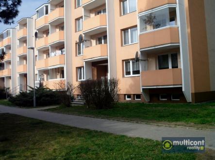 DSCI0001.JPG | Pronájem bytu, 1+1, 33 m²