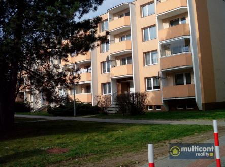 DSCI0002.JPG | Pronájem bytu, 1+1, 33 m²