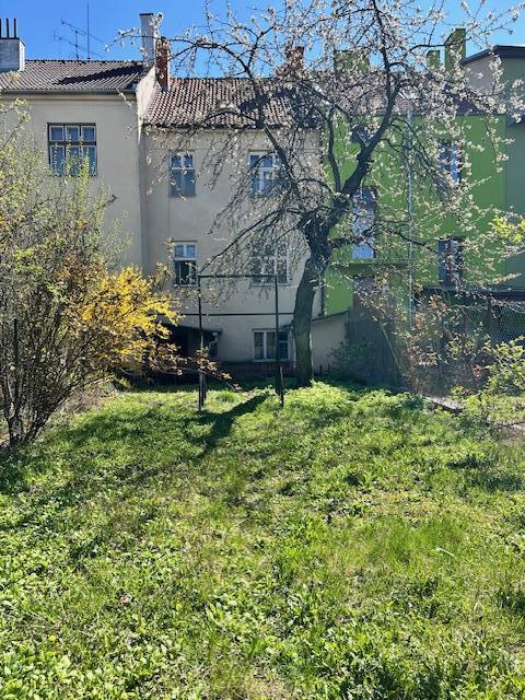 IMG_4960.jpeg