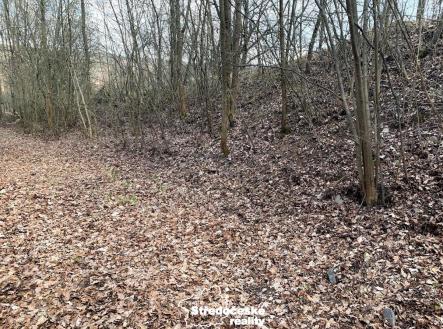 IMG_7918.jpg | Prodej - pozemek, ostatní, 1 151 m²