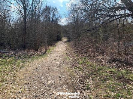 IMG_7943.jpg | Prodej - pozemek, ostatní, 1 151 m²