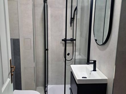 20251119_121313 | Pronájem bytu, 1+1, 43 m²