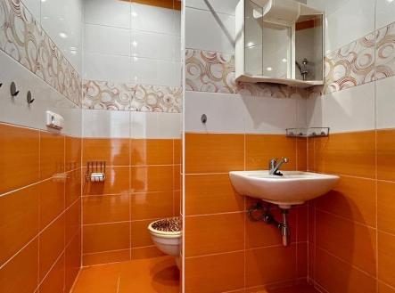 Pronájem bytu, 1+kk, 25 m² obrázek