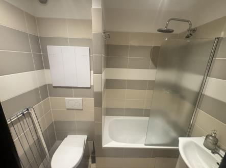 Obrázek k zakázce č.: 731271 | Pronájem bytu, 1+kk, 28 m²