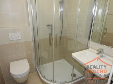 3.jpg | Pronájem bytu, 1+kk, 31 m²