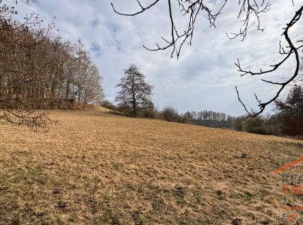 2.jpg | Prodej - pozemek pro bydlení, 12 282 m²