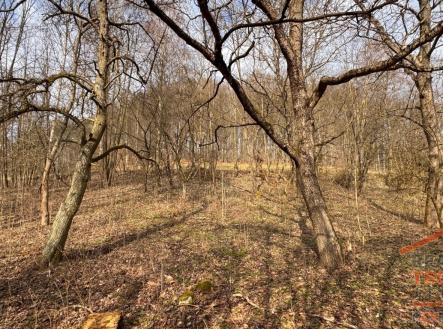 3.jpg | Prodej - pozemek pro bydlení, 12 282 m²