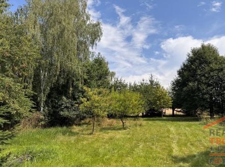 Prodej - pozemek pro bydlení, 3 538 m² obrázek