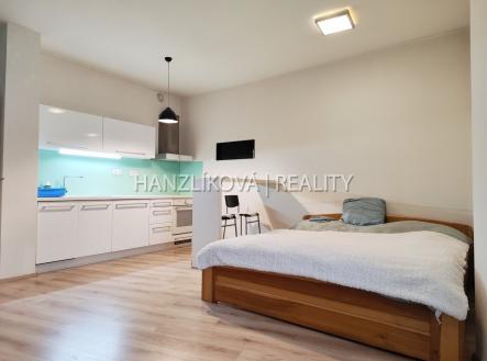 Pronájem bytu, 1+kk, 42 m² obrázek