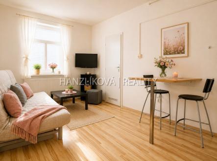 foto: 3 | Pronájem bytu, 1+kk, 21 m²