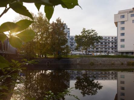 foto: 2 | Pronájem bytu, 1+kk, 28 m²