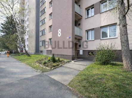 vstup do domu | Pronájem bytu, 3+kk, 54 m²