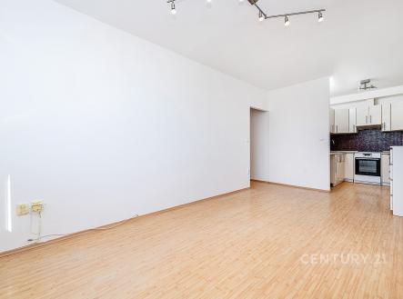Prodej bytu, 2+kk, 42 m²