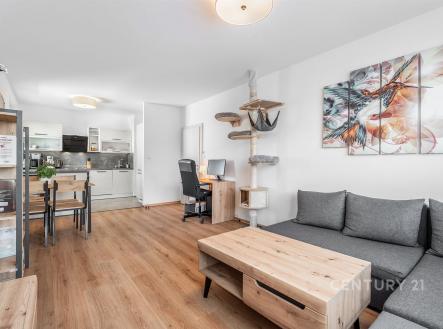 . | Pronájem bytu, 3+kk, 67 m²