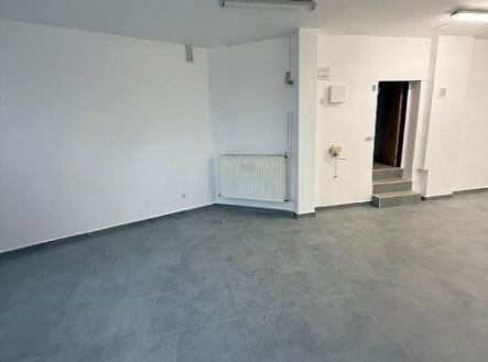 . | Pronájem - nájemní dům, 490 m²