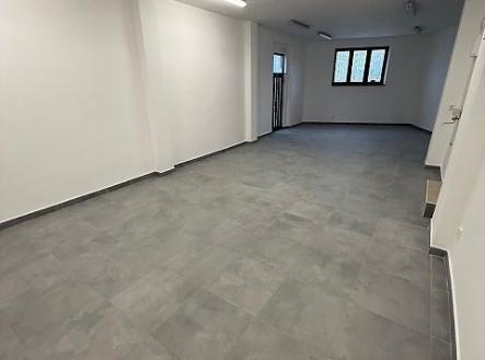 . | Pronájem - dům/vila, 490 m²