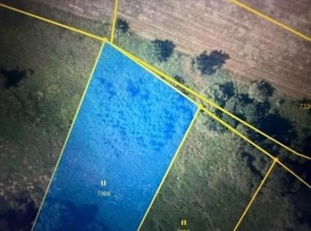 . | Prodej - pozemek, trvalý travní porost, 1 081 m²