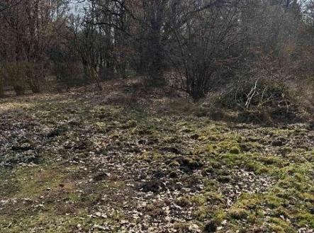 . | Prodej - pozemek, trvalý travní porost, 1 081 m²