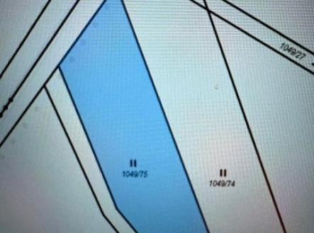 . | Prodej - pozemek, trvalý travní porost, 116 m²