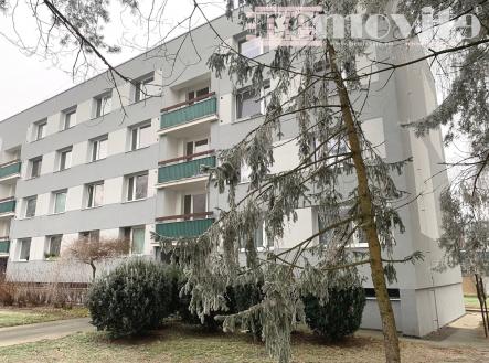 IMG_5592 | Prodej bytu, 2+kk, 42 m²