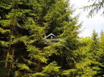 Fotka 1 | Prodej - pozemek, les, 8 890 m²