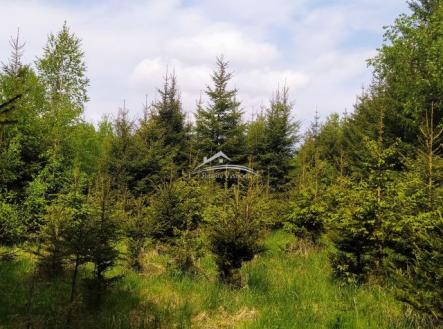 Fotka 2 | Prodej - pozemek, les, 8 890 m²