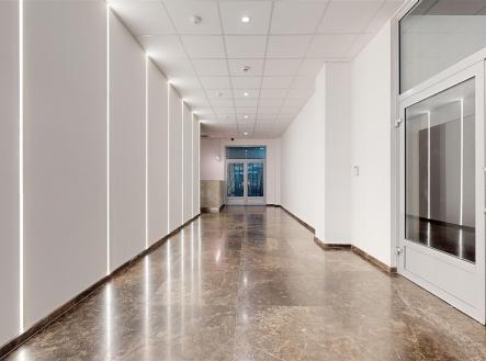 . | Pronájem - kanceláře, 305 m²