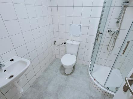 . | Pronájem bytu, 1+kk, 25 m²