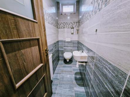 . | Pronájem bytu, 1+1, 52 m²