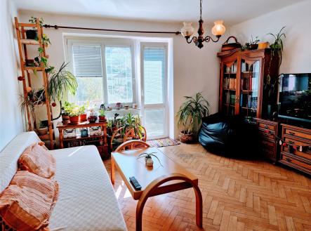 Prodej bytu, 2+1, 47 m² obrázek
