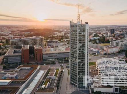 1 | Pronájem - kanceláře, 950 m²