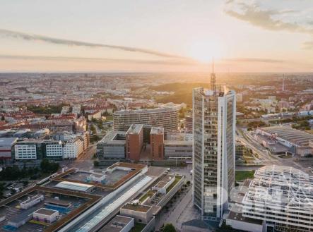 Pronájem - kanceláře, 266 m²