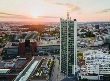 1 | Pronájem - kanceláře, 25 m²