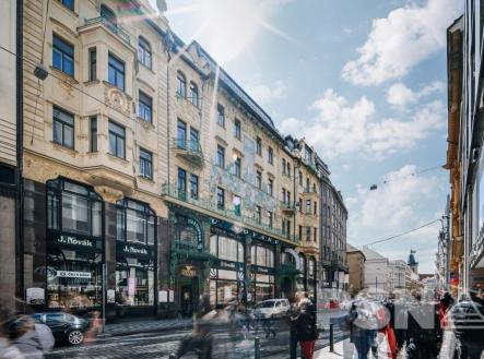 Bytové prostory v historickém domě U Nováků | Pronájem bytu, atypický, 884 m²