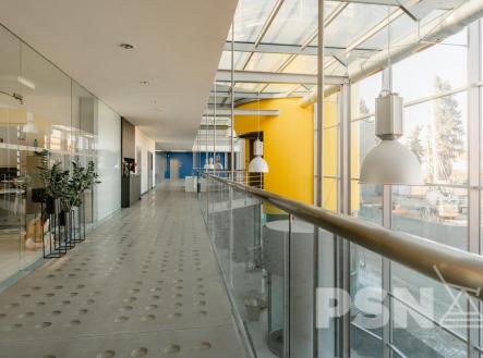 Pronájem kancelářských prostor v Brně | Pronájem - kanceláře, 1 000 m²