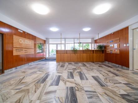 2 | Pronájem - kanceláře, 250 m²