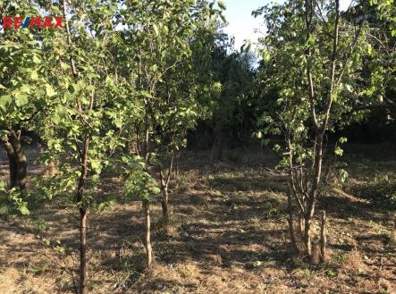 img-0622.jpeg | Prodej - pozemek pro bydlení, 1 216 m²