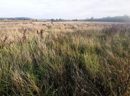 Prodej - pozemek pro bydlení, 1 513 m² obrázek