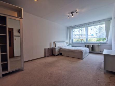 Pronájem bytu, 1+1, 47 m² obrázek