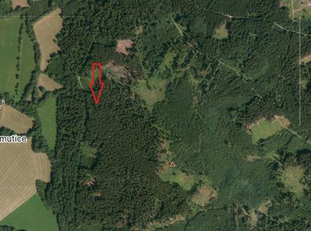 foto: 1 | Prodej - pozemek, les, 18 883 m²