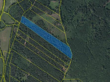 foto: 3 | Prodej - pozemek, les, 18 883 m²