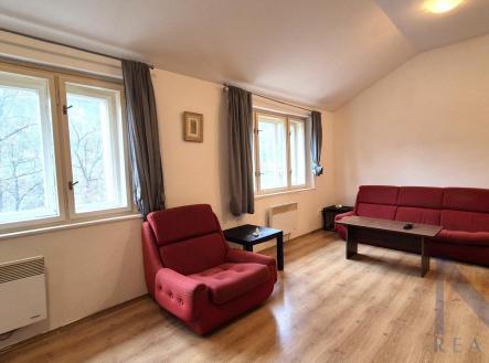 20250205_155900.jpg | Pronájem bytu, 1+kk, 35 m²